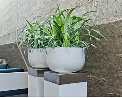 Fiberstone Glossy Round Sunny Planter by Idealist Premium Fiberstone Glossy Round Sunny Planter by Idealist Premium