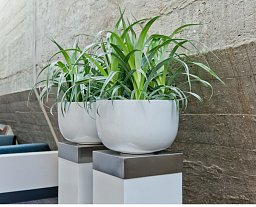 Fiberstone Glossy Round Sunny Planter by Idealist Premium