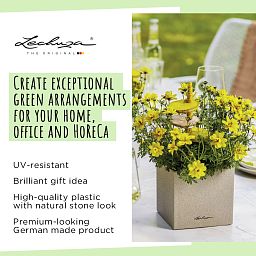 LECHUZA CANTO Stone Low Square Poly Resin Self-watering Planter Set