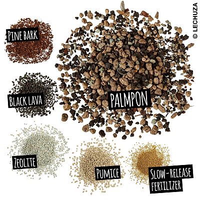 LECHUZA PALMPON Potting Soil Compost for Palms and Mediterranean Plants Potting Mix