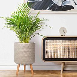 IDEALIST Lite Plaited Style Cylinder Planter on Legs, Round Pot Plant Stand Indoor