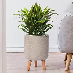 IDEALIST Lite Plaited Style Cylinder Planter on Legs, Round Pot Plant Stand Indoor