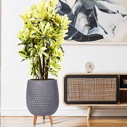 IDEALIST Lite Honeycomb Style Egg Planter on Legs, Round Pot Plant Stand Indoor