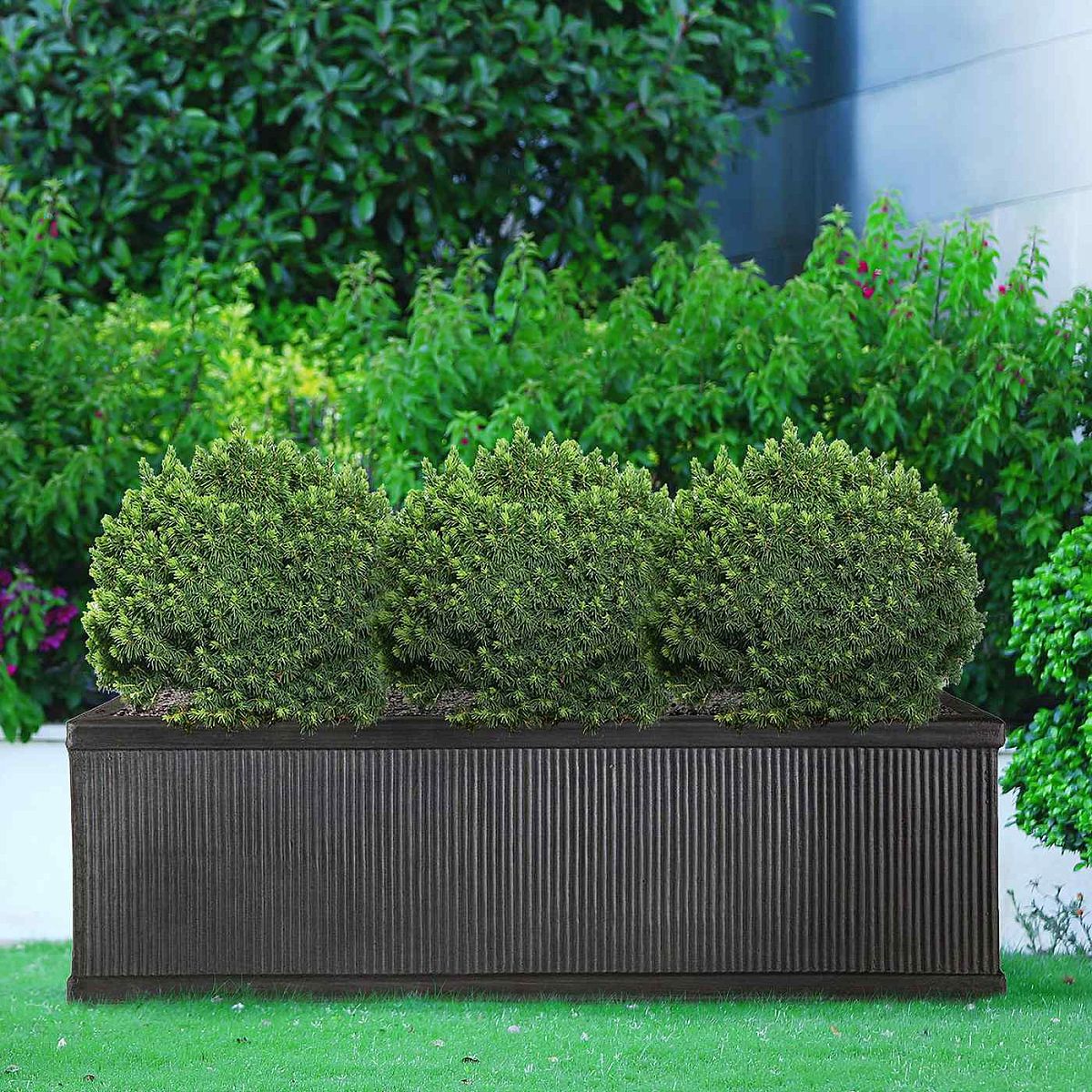 Vertical Ribbed Vintage Style Window Box by Idealist Lite