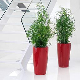 LECHUZA RONDO Round Tall Poly Resin Planter Only