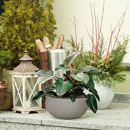 IDEALIST Lite Textured Concrete Effect Bowl Outdoor Planter