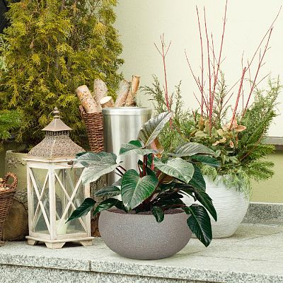 IDEALIST Lite Textured Concrete Effect Bowl Outdoor Planter