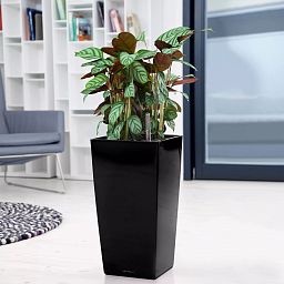 LECHUZA CUBICO Square Tall Poly Resin Self-watering Planter