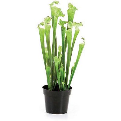 PREMIUM Artificial Flower Plants Sets
