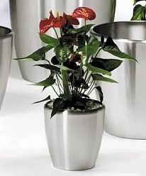 Vase Round Brushed Aluminium Planter