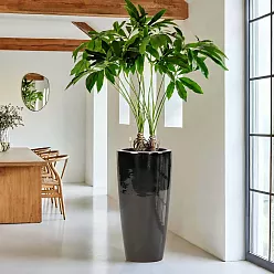 Ceramic Round Tall Glossy Planter Pot In/Out