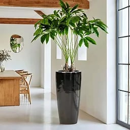 Ceramic Round Tall Glossy Planter Pot In/Out