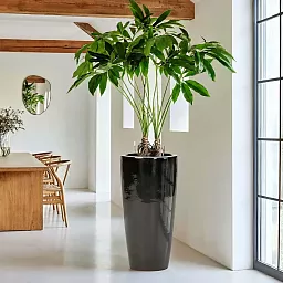 Ceramic Round Tall Glossy Planter Pot In/Out