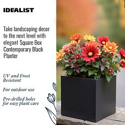 IDEALIST Lite Square Box Contemporary Light Concrete Planter