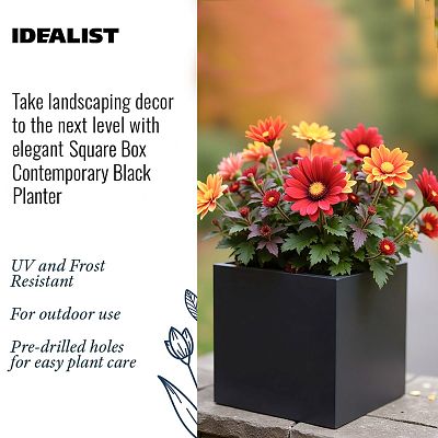 IDEALIST Lite Square Box Contemporary Light Concrete Planter