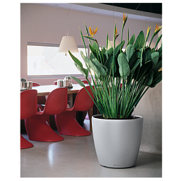 LECHUZA CLASSICO LS Round Poly Resin Self-watering Planter