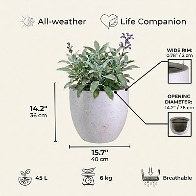 IDEALIST Lite Contemporary Light Concrete Egg Planter