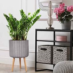 IDEALIST Lite Modern Ribbed Cylinder Planter on Legs, Round Pot Plant Stand Indoor