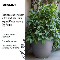 IDEALIST Lite Contemporary Light Concrete Egg Planter