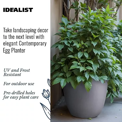 IDEALIST Lite Contemporary Light Concrete Egg Planter