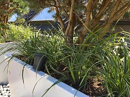 Florida Outdoor Aluminum Trough Planter