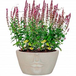Textured Concrete Effect Oval Outdoor Head Planter with Lips by Idealist Lite
