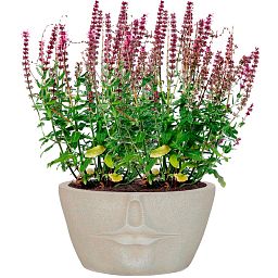 IDEALIST Lite Textured Concrete Effect Oval Face Outdoor Plant Pot with Lips