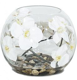 Natural Illusion Glass Vase 30