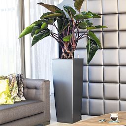 LECHUZA CUBICO ALTO Square Tall Poly Resin Self-watering Planter