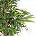 LONGIFOLIA ROYAL NATURAL Artificial Tree Plant