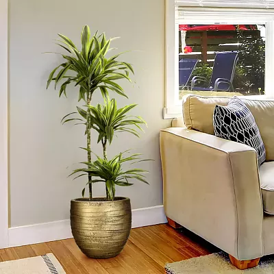 IDEALIST Lite Row Style Round Indoor Planter