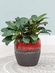 Amora Couple Glazed Clay Round Planter
