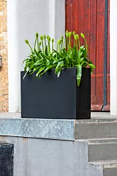 Raised Fiberstone Trough Planter by Idealist Premium JORT