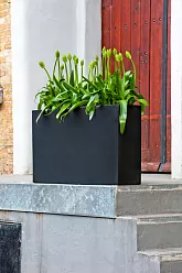 Raised Fiberstone Trough Planter by Idealist Premium JORT Raised Fiberstone Trough Planter by Idealist Premium JORT