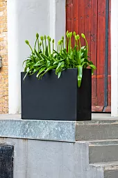 Raised Fiberstone Trough Planter by Idealist Premium JORT