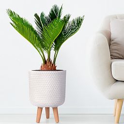 IDEALIST Lite Honeycomb Style Cylinder Planter on Legs, Round Pot Plant Stand Indoor