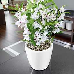 LECHUZA CLASSICO Round Poly Resin Planter Only