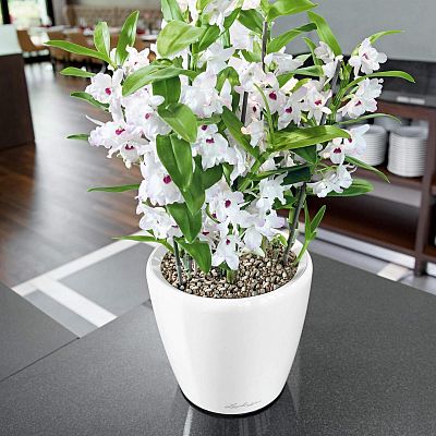 LECHUZA CLASSICO Round Poly Resin Planter Only