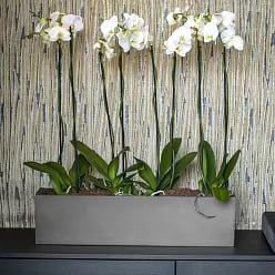 WINDOW BOX Fiberstone Planter by Idealist Premium Balcony