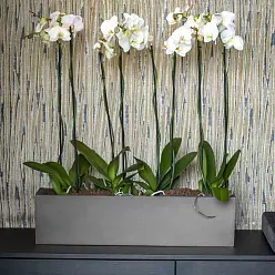 WINDOW BOX Fiberstone Planter by Idealist Premium Balcony