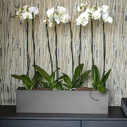 WINDOW BOX Fiberstone Planter by Idealist Premium Balcony