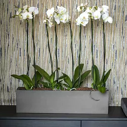 WINDOW BOX Fiberstone Planter by Idealist Premium Balcony