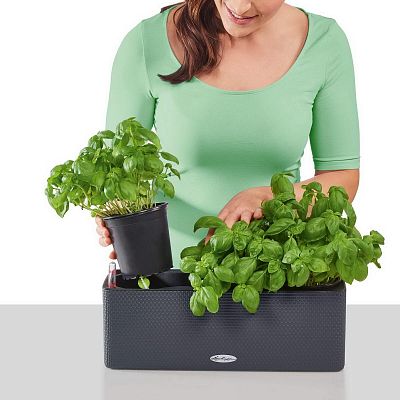 LECHUZA CUBE Color Triple Trough Poly Resin Self-watering Planter