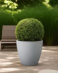 IDEALIST Lite Contemporary Light Concrete Egg Planter