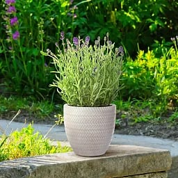 IDEALIST Lite Plaited Style Round Planter Outdoor Plant Pot