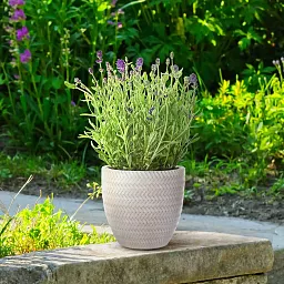 IDEALIST Lite Plaited Style Round Planter Outdoor Plant Pot