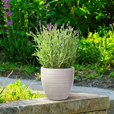 IDEALIST Lite Plaited Style Round Planter Outdoor Plant Pot