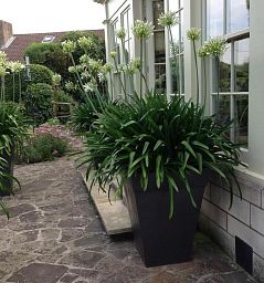 Geo Classic Fiberglass Square Tall Aluminium Planter Pot In/Out