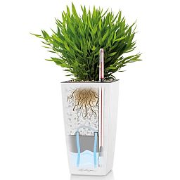 LECHUZA CUBI Square Poly Resin Indoor Self-watering Planter