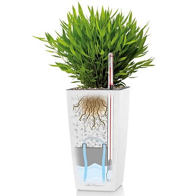 LECHUZA CUBI Square Poly Resin Indoor Self-watering Planter